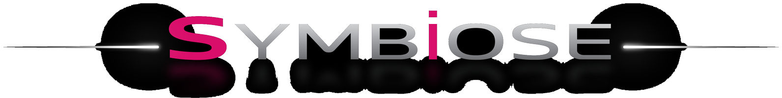 Symbiose aménagements